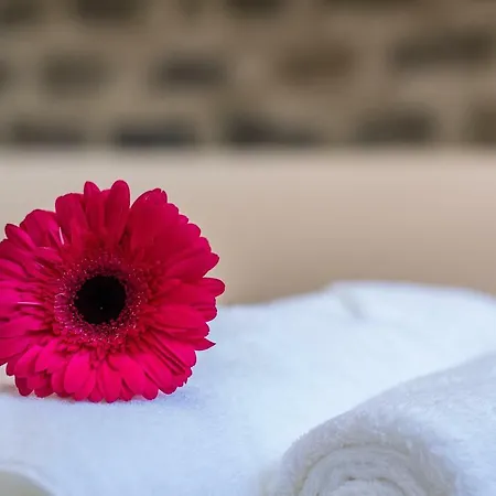 Chez Lucia * Ponta Delgada (Sao Miguel)