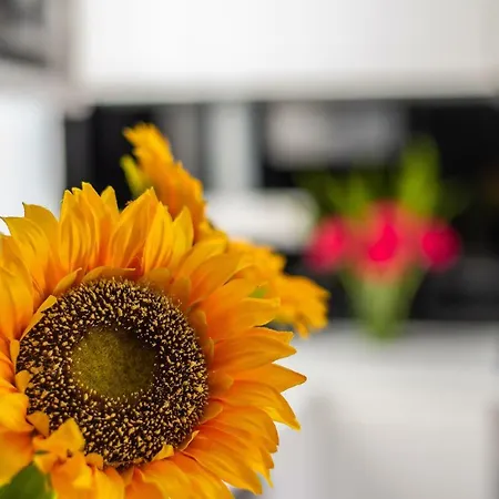 Apartment Chez Lucia