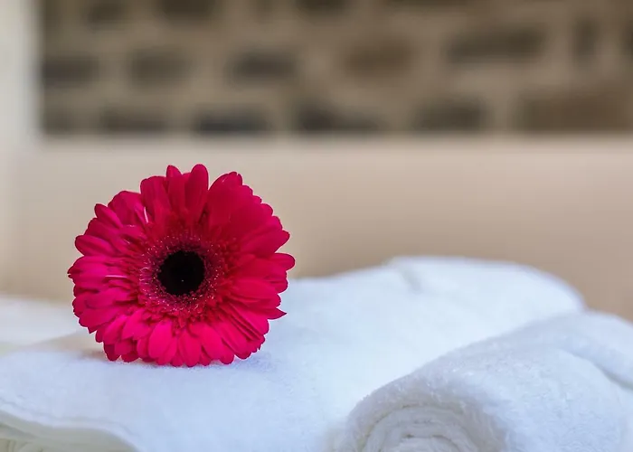 Chez Lucia * Ponta Delgada