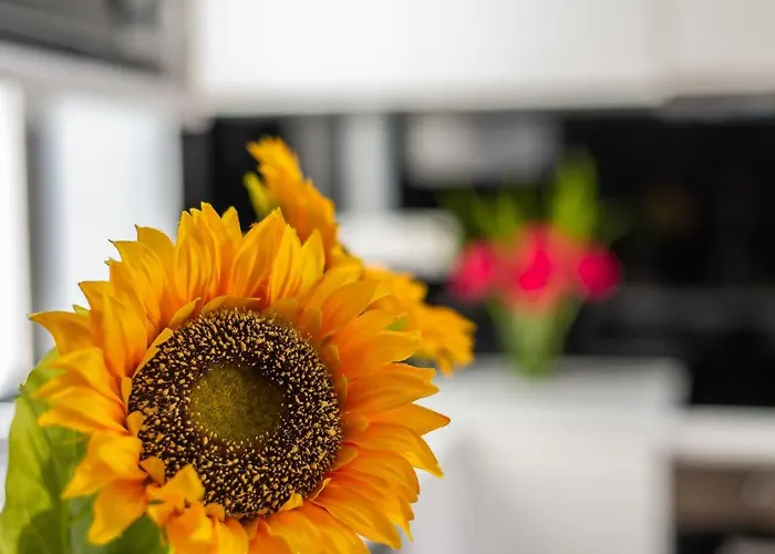 Apartamento Chez Lucia