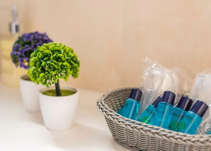 Apartamento Chez Lucia Ponta Delgada